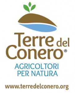 terre-del-conero-logo